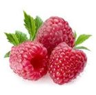 Picture of RASPBERRIES PUNNET
