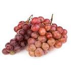 Picture of GRAPE RED SEEDLESS per kg avg.