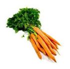 Picture of DUTCH CARROTS BUNCH 