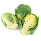 Picture of BRUSSEL SPROUTS PACK 