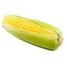 Picture of CORN TWIN PACK