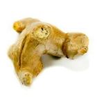 Picture of GINGER ROOT per kg avg.