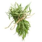 Picture of HERBS TARRAGON