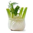 Picture of FENNEL 