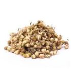 Picture of  MUNG BEAN PACK 200G