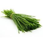 Picture of CHIVES