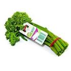 Picture of  BROCCOLINI BUNCHES