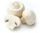 Picture of MUSHROOM CUP per kg avg.