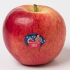 Picture of APPLES JAZZ per kg avg.