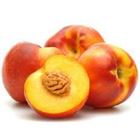 Picture of SPECIAL NECTARINE YELLOW SMALL