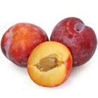 Picture of RED PLUMS