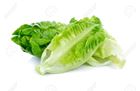 Picture of LETTUCE COS LARGE